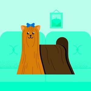 Meet your Posher, Caroline